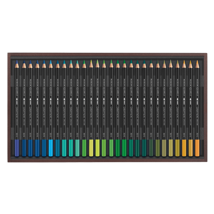 SPECIAL EDITION WOODEN BOX: 80 Colours MUSEUM Aquarelle