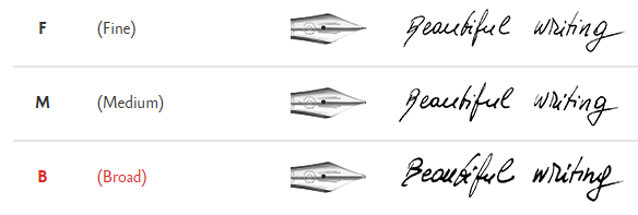 Caran D'Ache   EDELWEISS Fountain Pen
